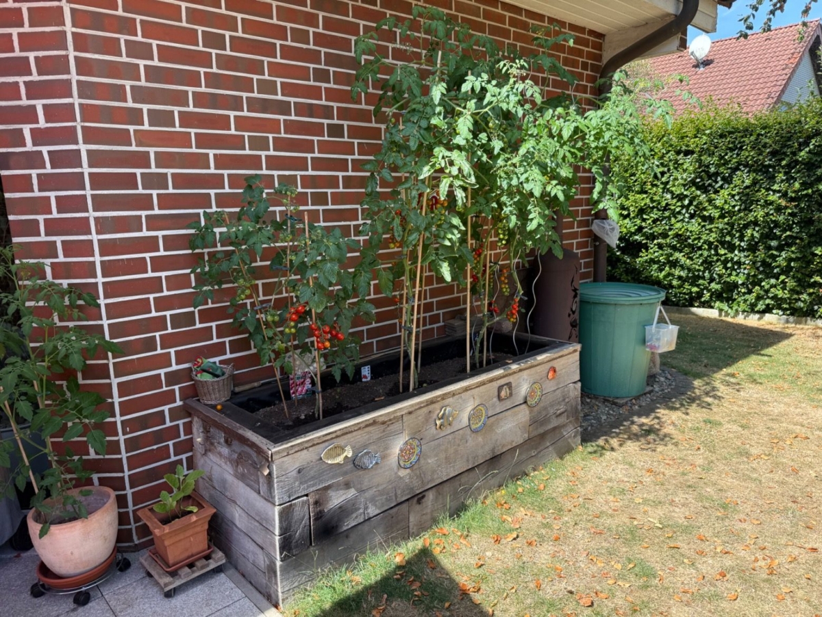Garten mit Hochbeet