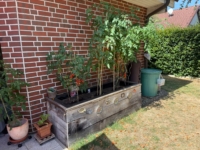 Garten mit Hochbeet
