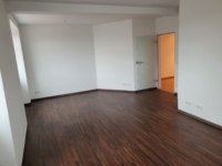 Helles Wohnzimmer mit Parkett