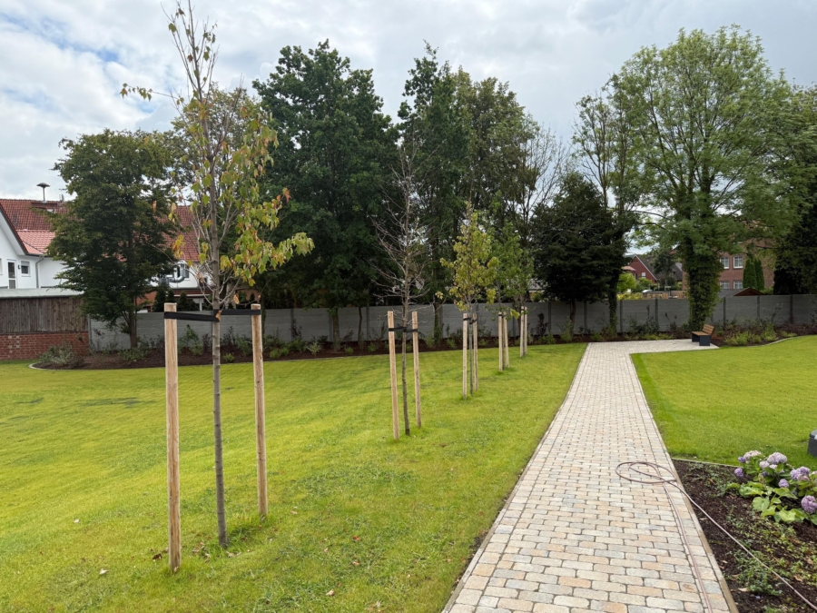Gepflasterter Gartenweg
